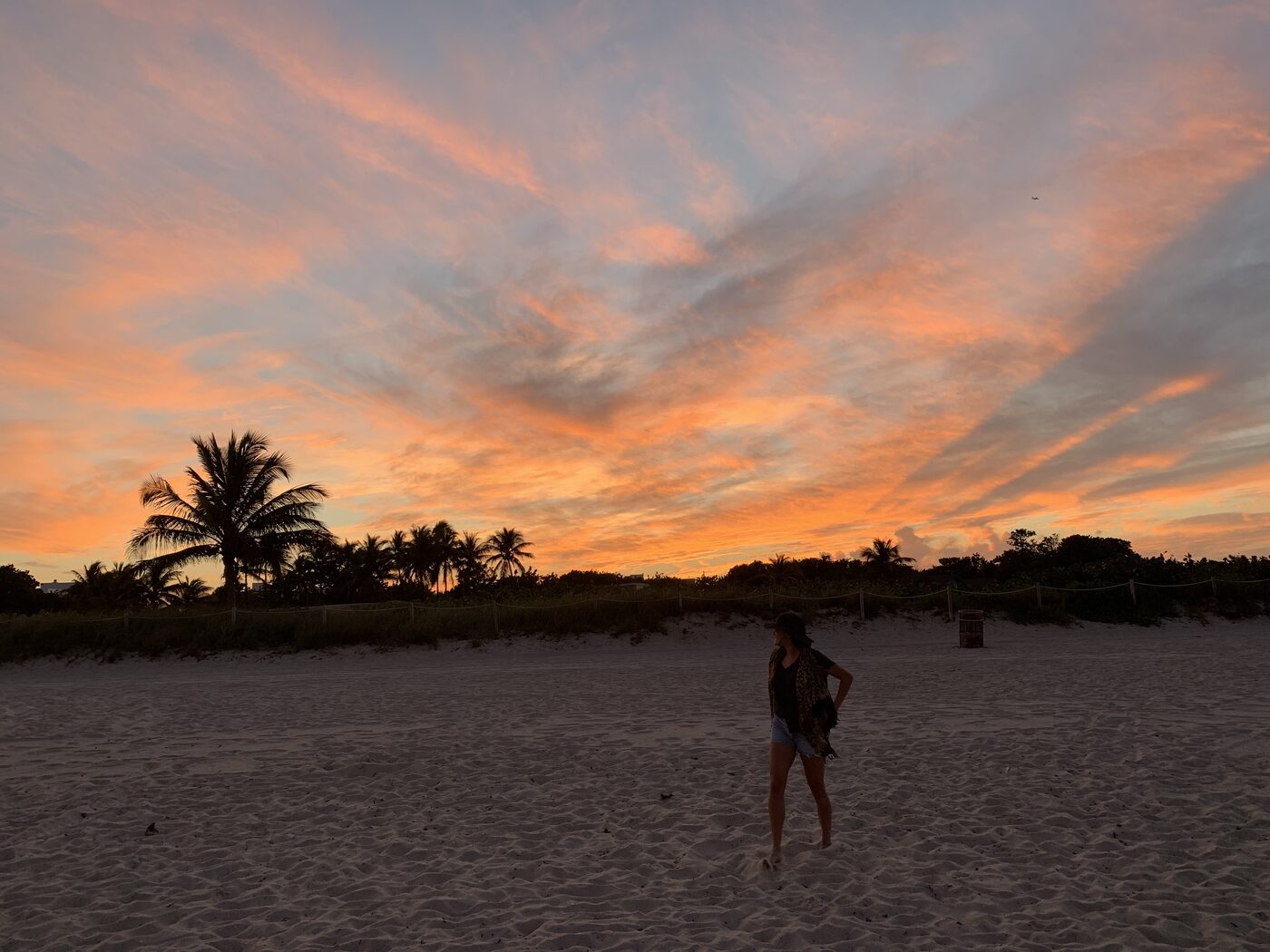 Palm trees against a glowing pink sunset on Miami Beach